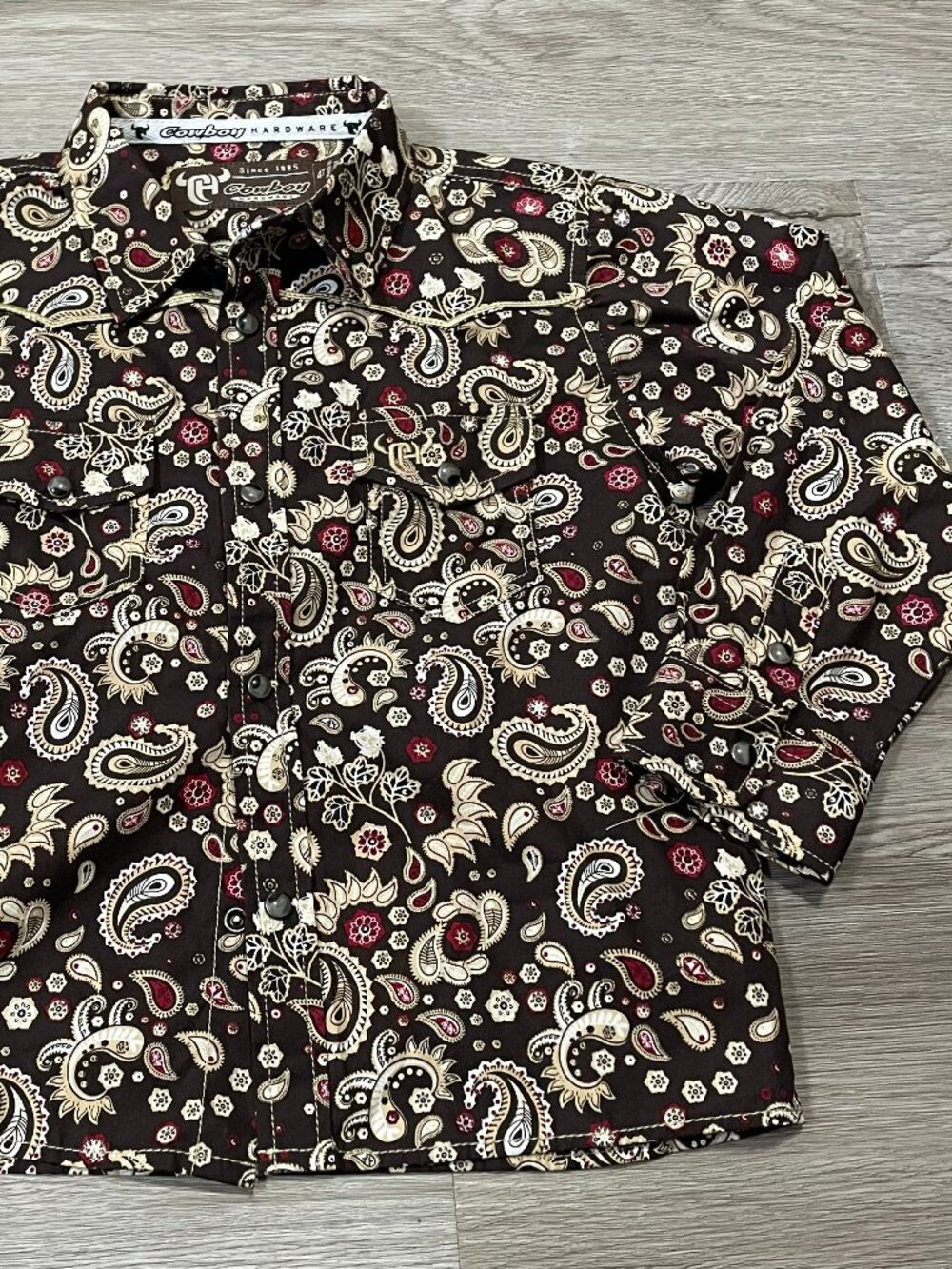 Western Long Sleeve Shirt